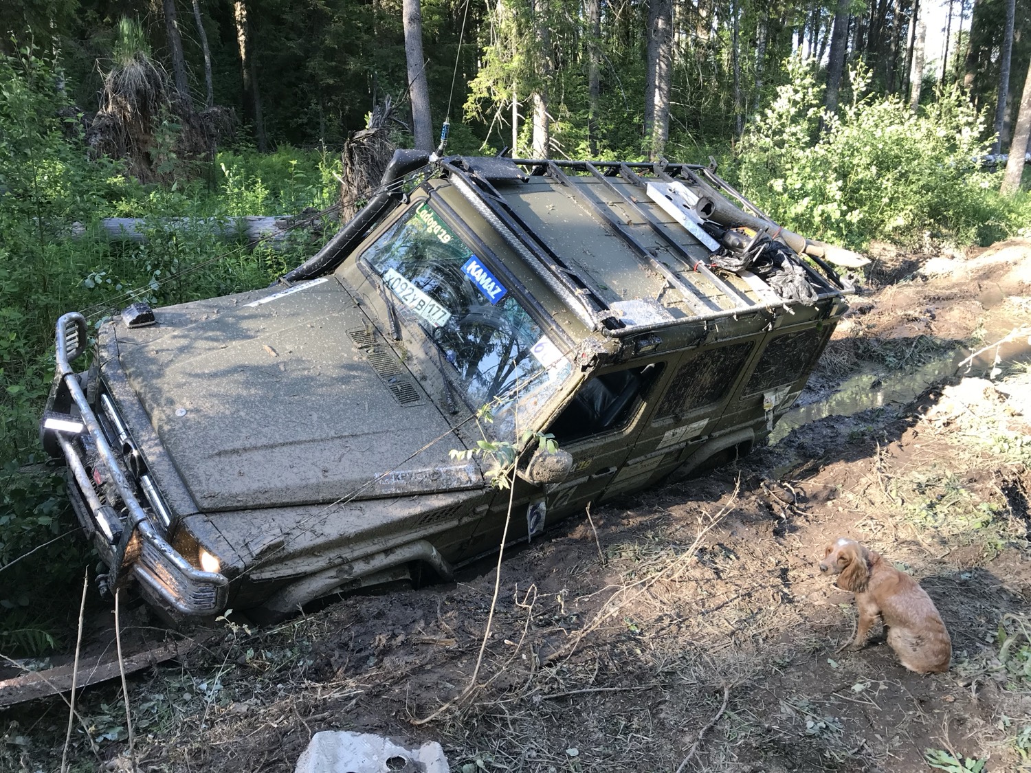 G-Class на летнем бездорожье Ленобласти